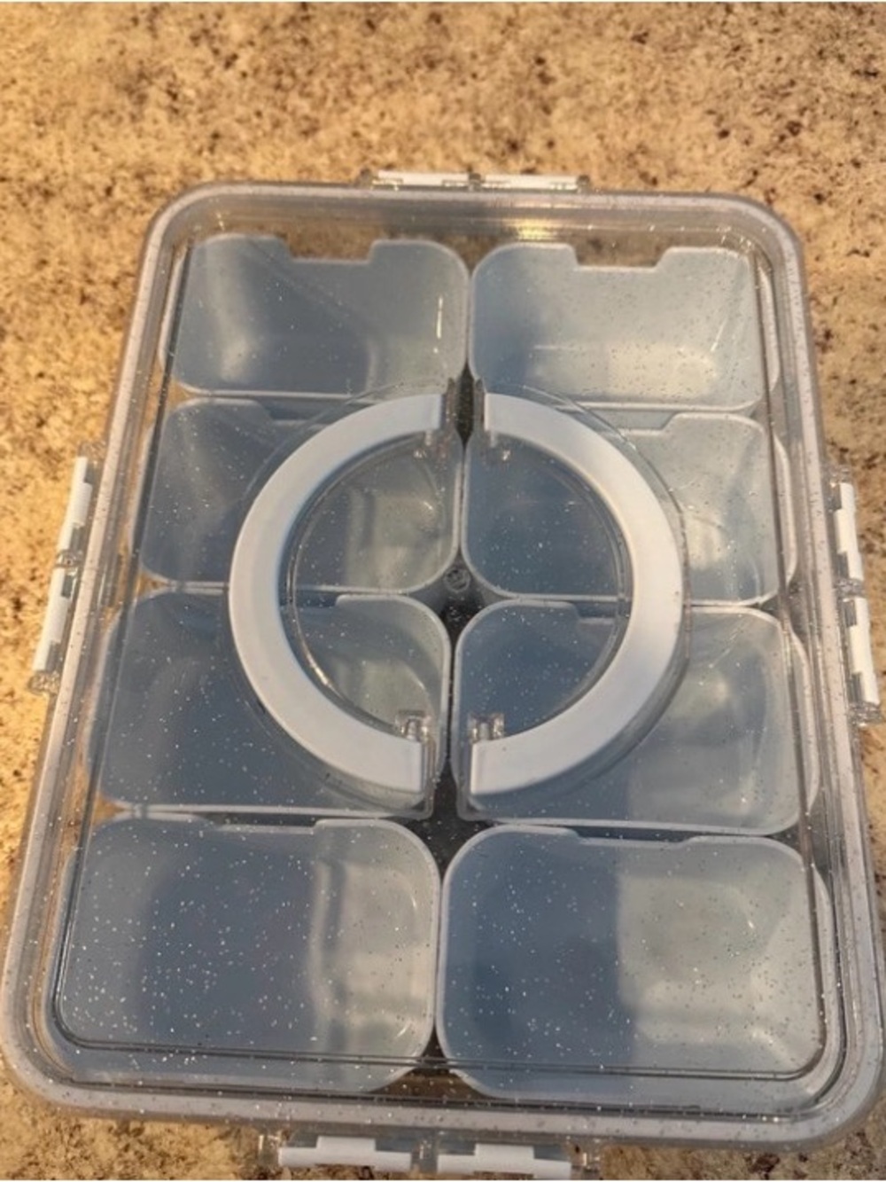 Target Clear Gray Multi-Section Storage Organizer with Removable Dividers